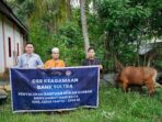 berikabar.co